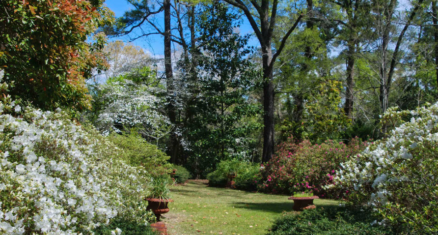Kalmia Gardens, United States